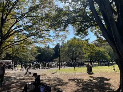 砧公園