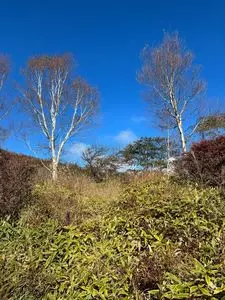 小沼（群馬県前橋市）