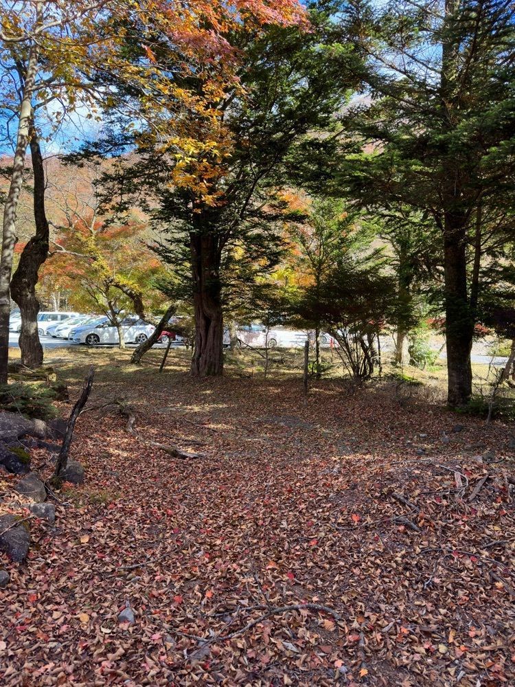からっ風②さんが投稿した大沼（群馬県前橋市）に関する口コミの画像
