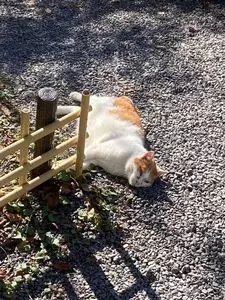 熊野若王子神社