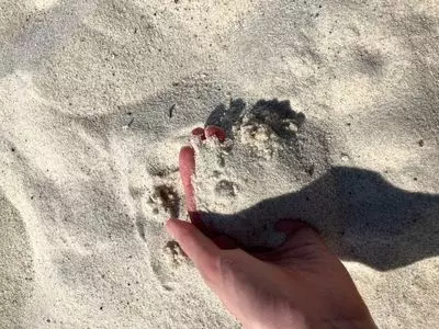 白良浜