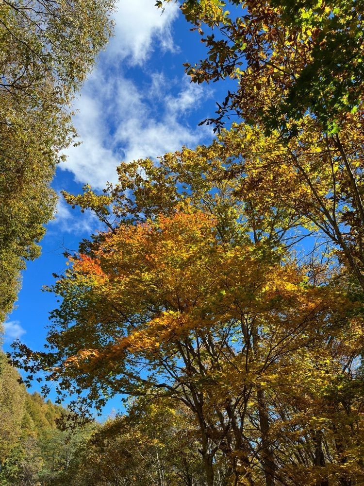 からっ風②さんが投稿した牧水に関する口コミの画像