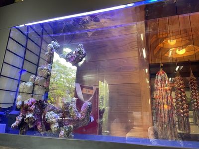 手打そば 金太郎 御殿場本店（きんたろう） 5枚目