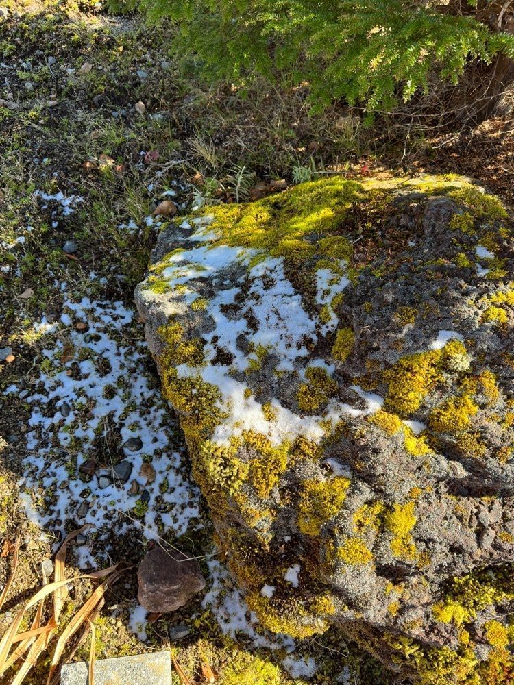 からっ風②さんが投稿した山頂しらねに関する口コミの画像
