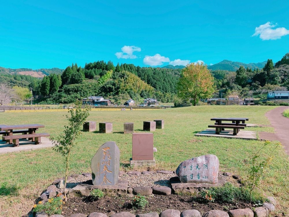 鉄道こまちさんが投稿した国宝臼杵石仏の蓮の花に関する口コミの画像