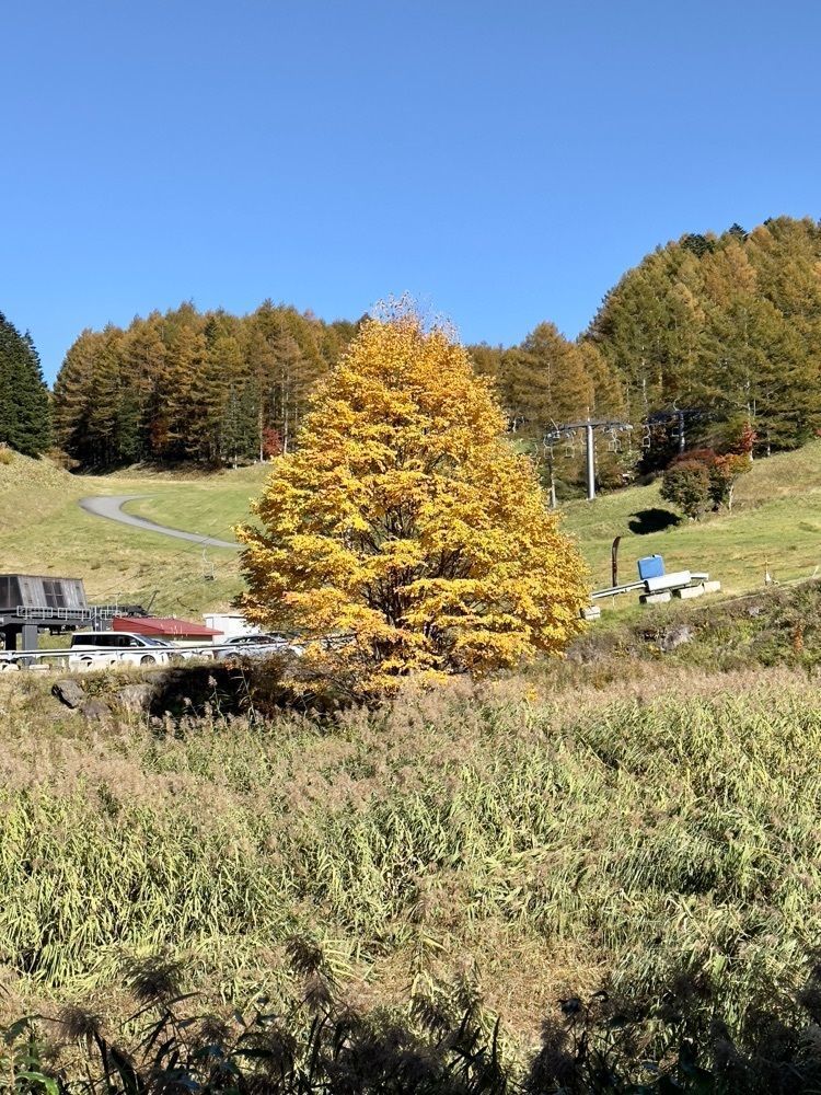 からっ風②さんが投稿した高原の駅　丸沼に関する口コミの画像