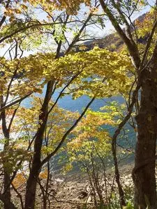 丸沼