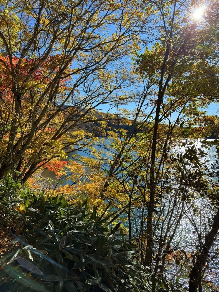 からっ風②さんが投稿した丸沼に関する口コミの画像