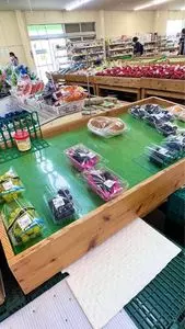 道の駅 かわもと
