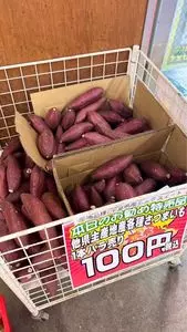 道の駅 かわもと