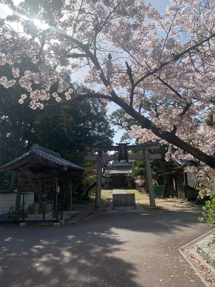 blossom&C7さんが投稿したマクドナルド １号線八幡店に関する口コミの画像