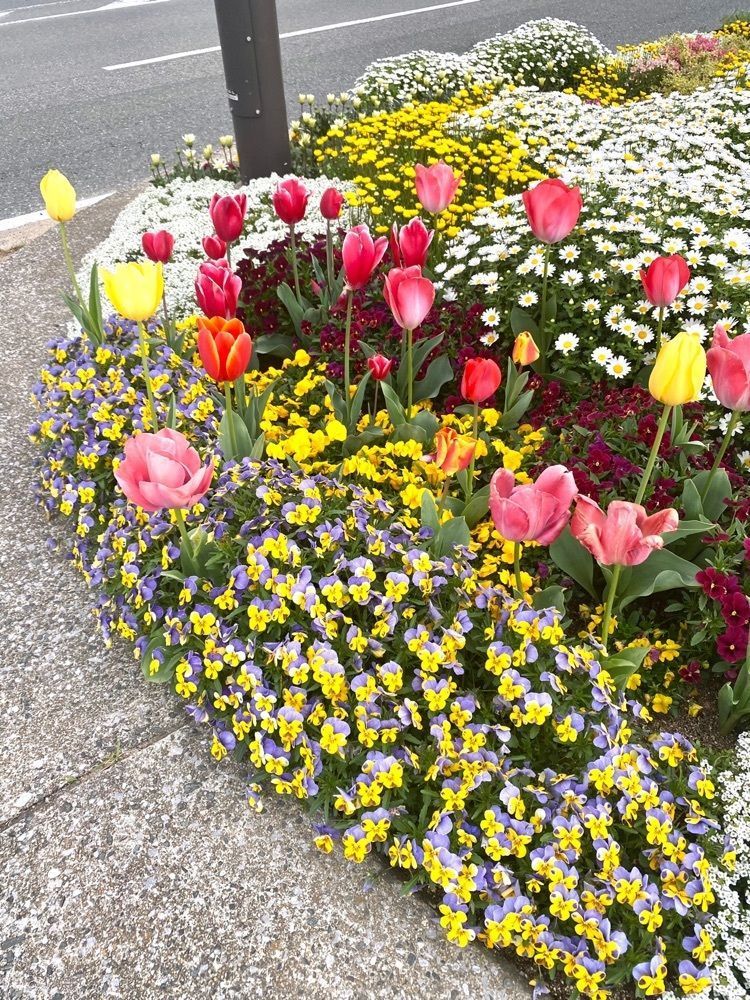 Rhapsodyさんが投稿したトイザらス 福岡香椎店に関する口コミの画像