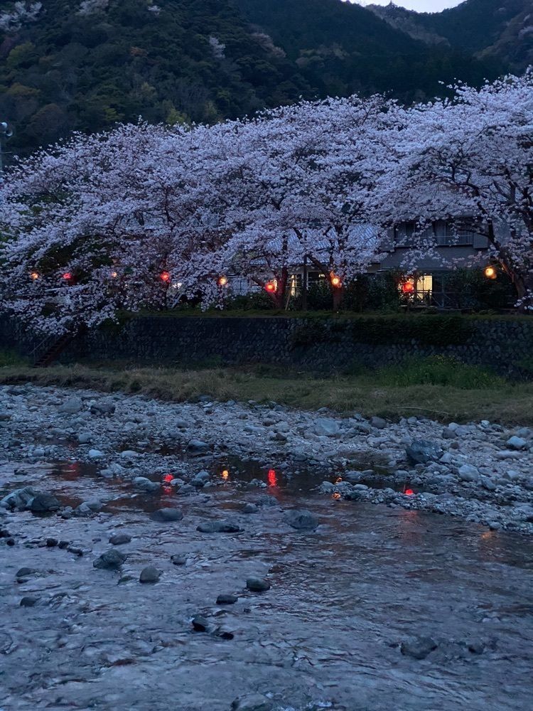 たくやさんが投稿した田んぼをつかった花畑に関する口コミの画像