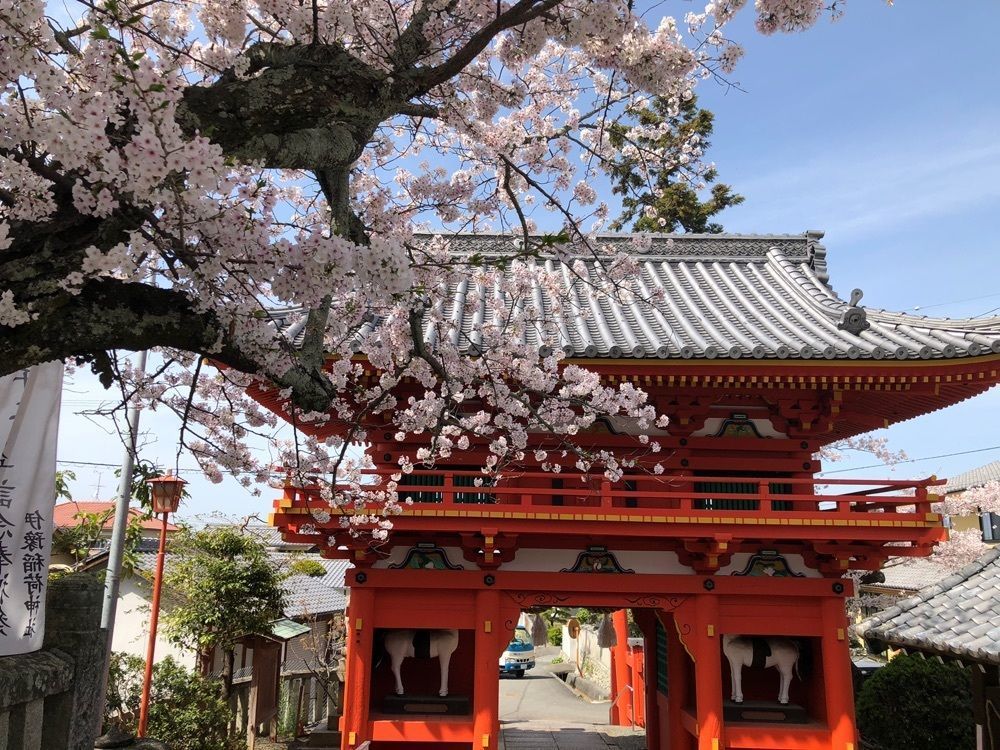花❁⃘華  さんが投稿した伊豫稲荷神社に関する口コミの画像