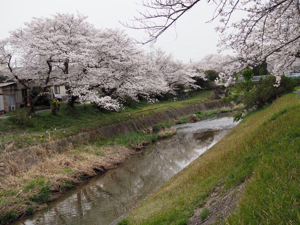 なおなおさんが投稿した岩崎城に関する口コミの画像