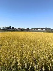 ウエルシア みどり阿左美店