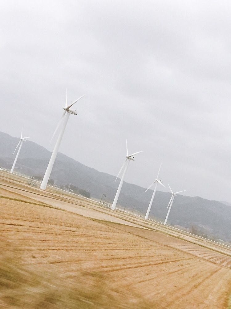 猫なぎ。さんが投稿した庄内町に関する口コミの画像