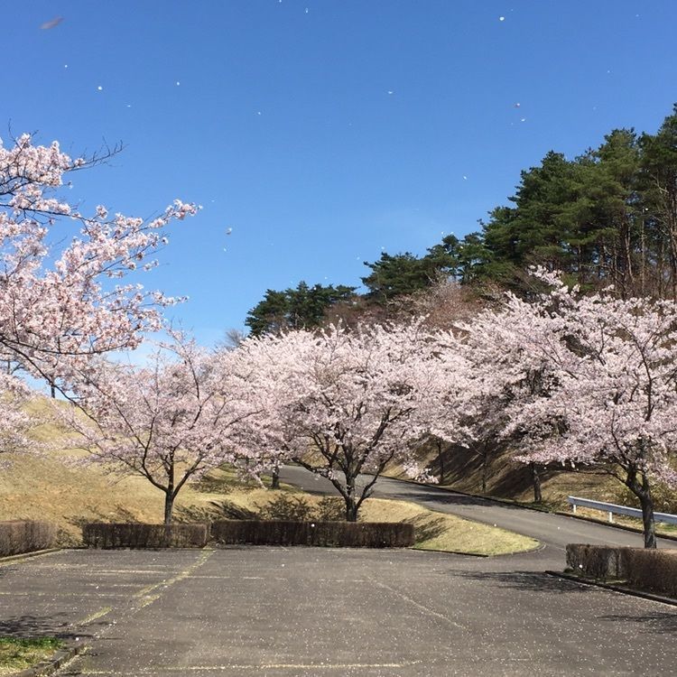 MasTom8326さんが投稿したしらさかの森スポーツ公園に関する口コミの画像