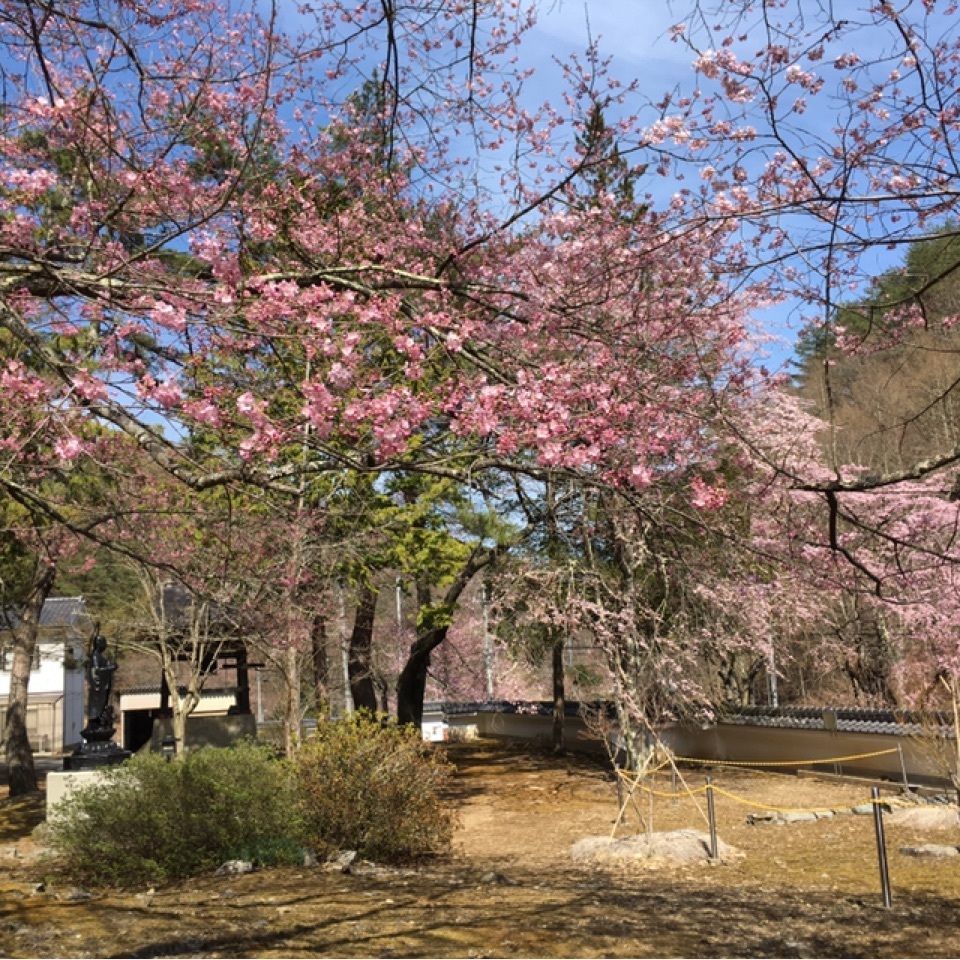 favorite_studio_bcffさんが投稿した独鈷山麓宮沢地区御屋敷平のひまわり畑に関する口コミの画像