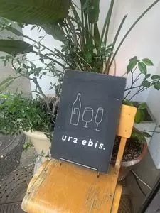 ウラエビス（ura ebis．）