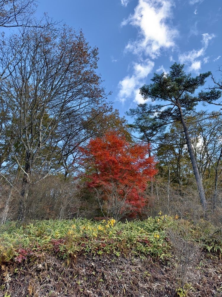からっ風②さんが投稿した榛名山の紅葉に関する口コミの画像
