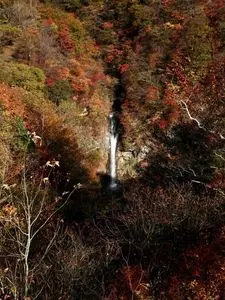 那須平成の森