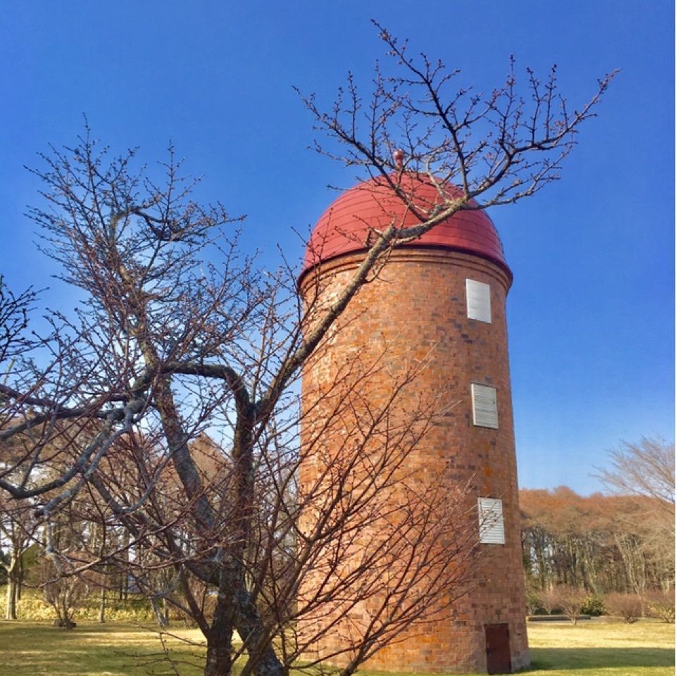 yoshiさんが投稿した明治公園に関する口コミの画像