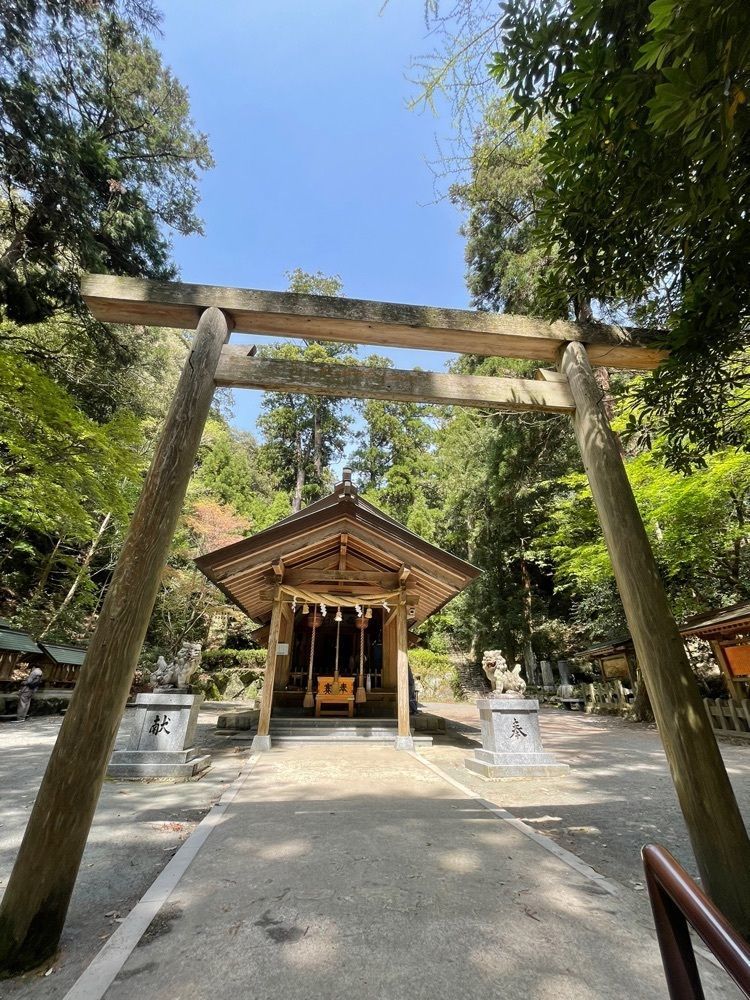 surumeさんが投稿した伊野天照皇大神宮に関する口コミの画像