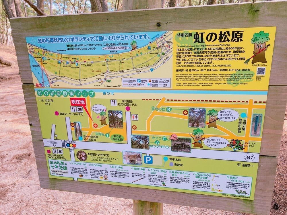 鉄道こまちさんが投稿した虹の松原の黒松林に関する口コミの画像