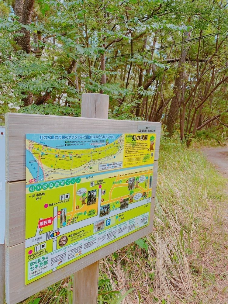 鉄道こまちさんが投稿した虹の松原の黒松林に関する口コミの画像