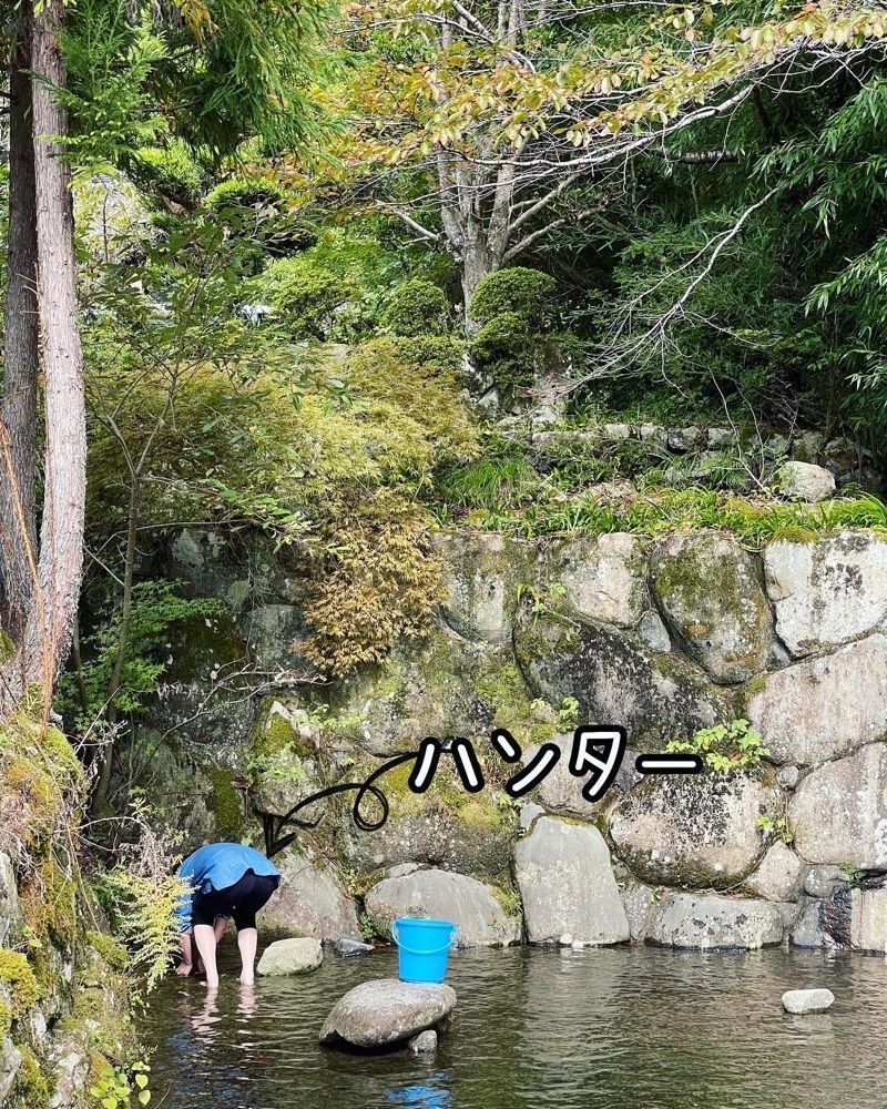 いろはさんが投稿したあまご村（アマゴムラ）に関する口コミの画像