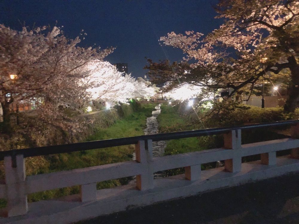 mimiさんが投稿した一の坂川に関する口コミの画像