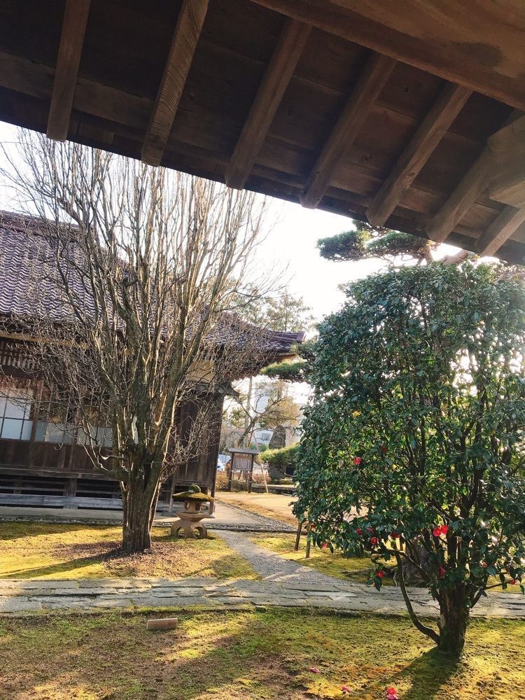 猫なぎ。さんが投稿した藩校致道館に関する口コミの画像