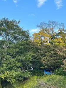 茶寮いま泉