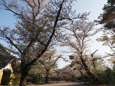 施設画像
