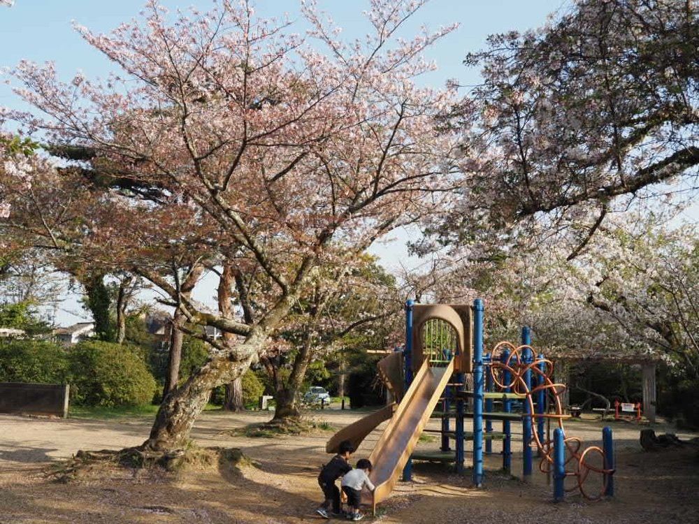 Howl Monさんが投稿したつつじ公園のツツジに関する口コミの画像
