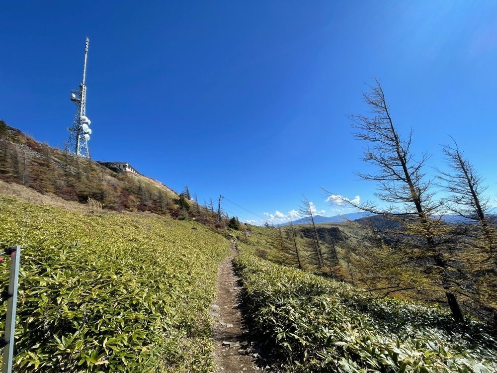 nostalgic_hiking_bca8さんが投稿した美ヶ原高原に関する口コミの画像