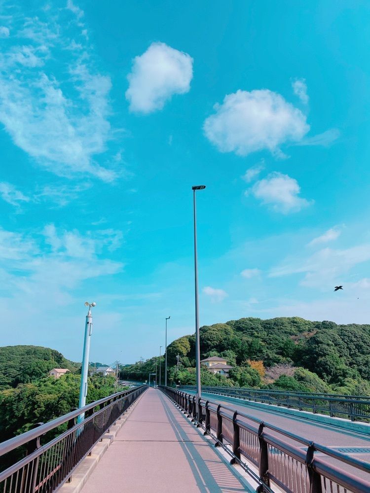 鉄道こまちさんが投稿した呼子大橋に関する口コミの画像
