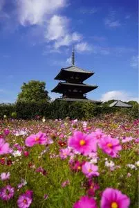 法起寺