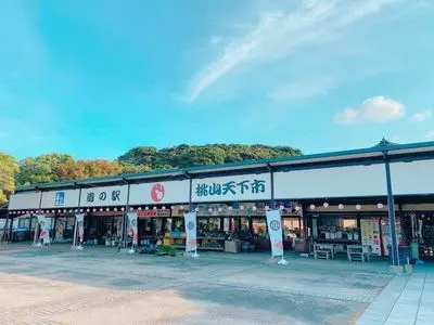 道の駅 桃山天下市
