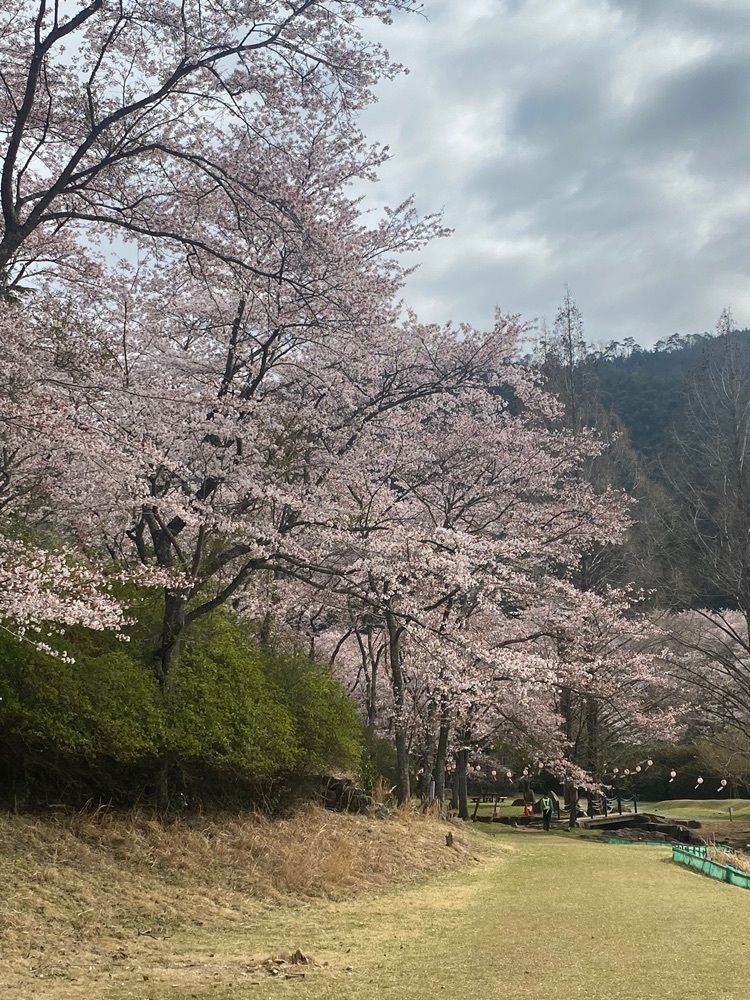 sakioさんが投稿した土師さくら亭に関する口コミの画像