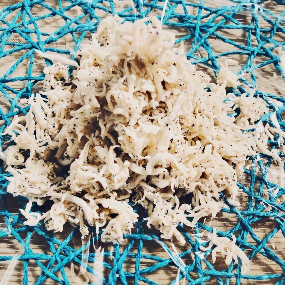 sanaebabyさんが投稿したしらす料理の豊洋丸に関する口コミの画像