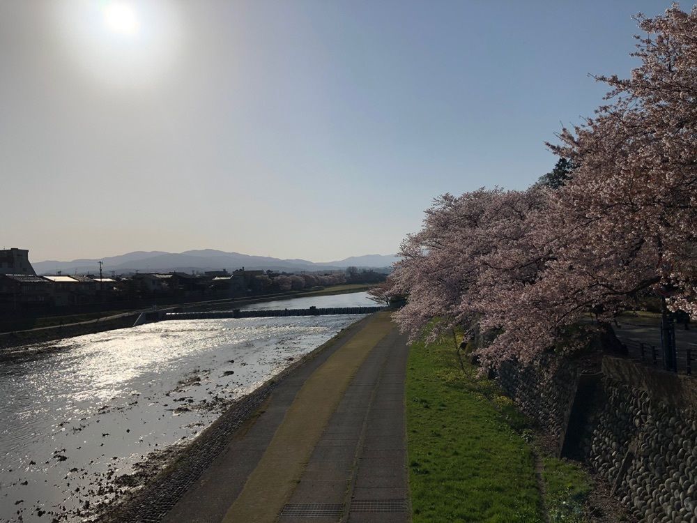 らぐ🏉🍺ビアさんが投稿した室生犀星詩碑に関する口コミの画像