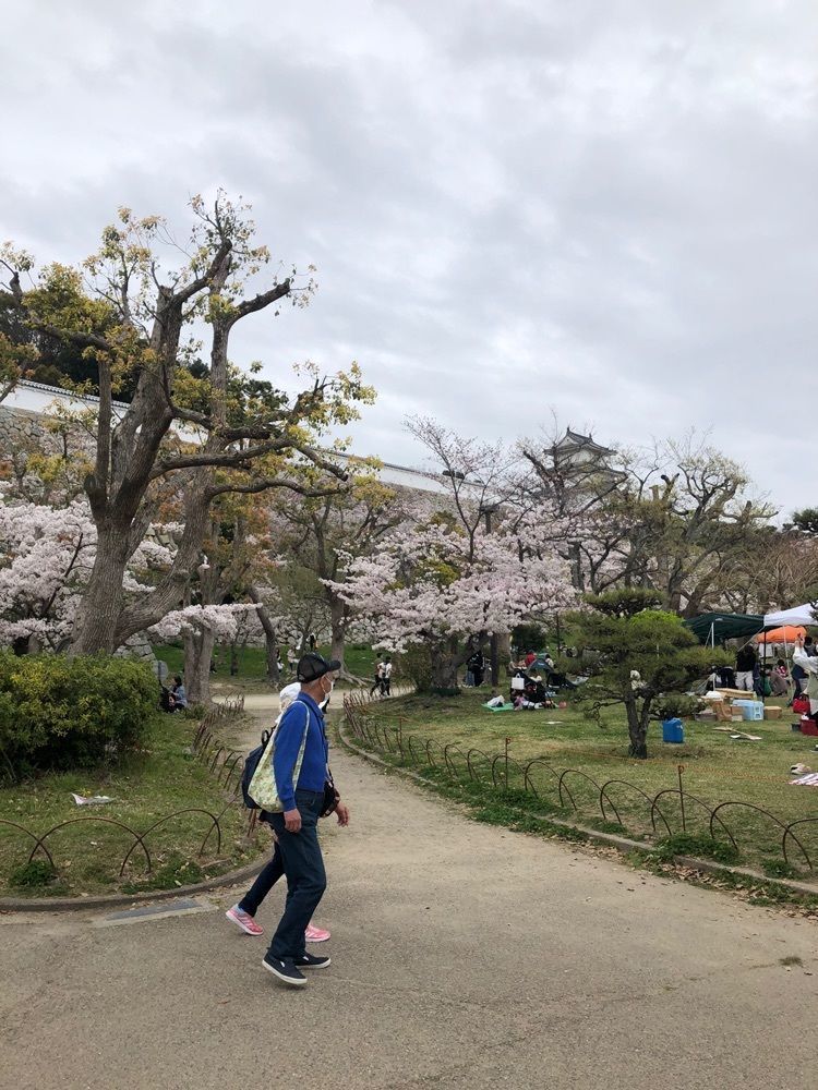 雲霧さんが投稿した明石公園（兵庫県明石市）に関する口コミの画像