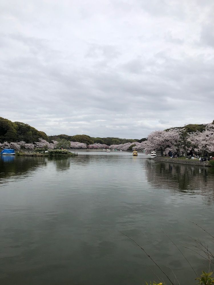 雲霧さんが投稿した明石公園（兵庫県明石市）に関する口コミの画像