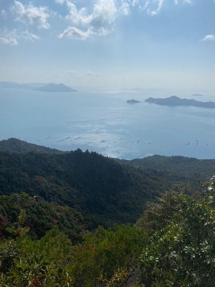 あるふぃすたさんが投稿したディッピンドッツ 宮島水族館内 みやじマリンキッチンに関する口コミの画像