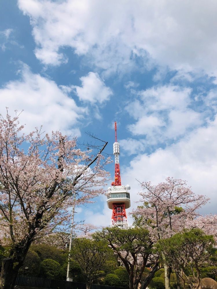 サトツルさんが投稿した八幡山公園に関する口コミの画像