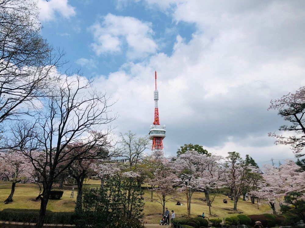 サトツルさんが投稿した八幡山公園に関する口コミの画像