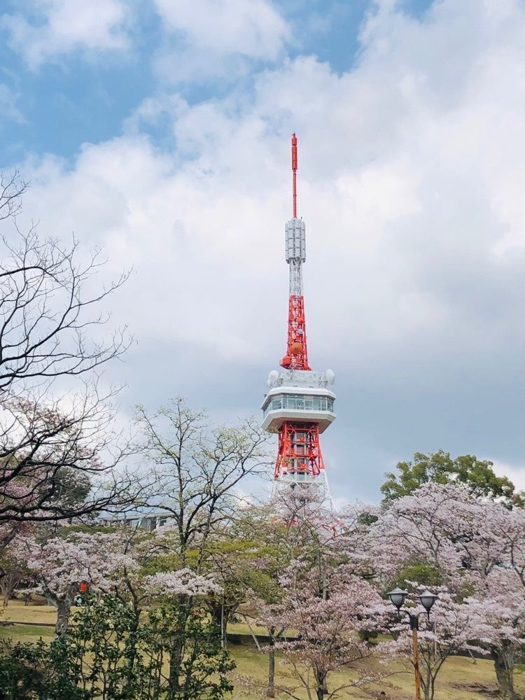 サトツルさんが投稿した八幡山公園に関する口コミの画像