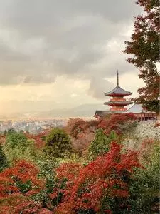 清水寺三重塔